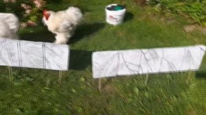 Бордюр для садовых дорожек, грядок из бетона своими руками. Часть 3. Покраска