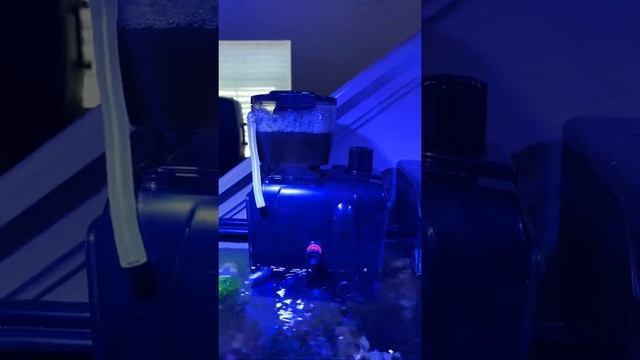 Bubble magus QQ1 update смотреть онлайн