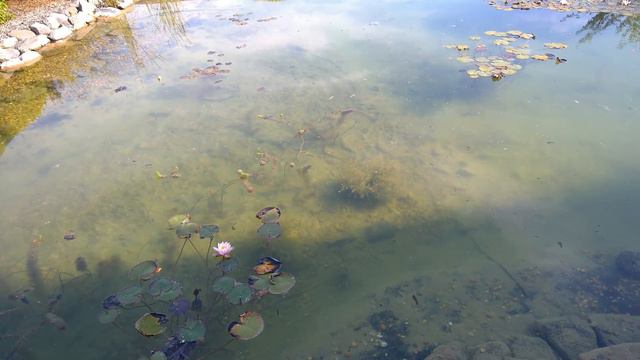 вторая поездка..А что там в Будапеште? Там солнечно и тепло :) смотреть онлайн