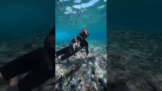 TREASURE FOUND! Underwater adventure! #barbie #shipwreck смотреть онлайн