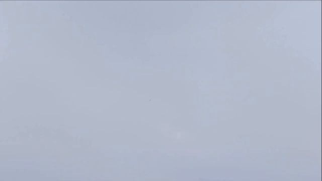Неделя птиц смотреть онлайн