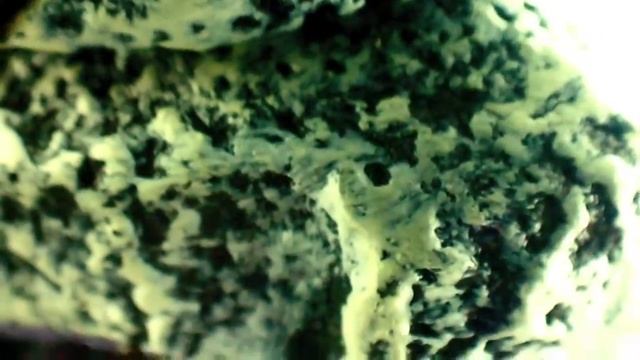 Macro World - Recording with Casio Exilim EX-ZS10 смотреть онлайн