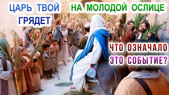 Царь твой грядет на молодой ослице. Что означало это событие? смотреть онлайн