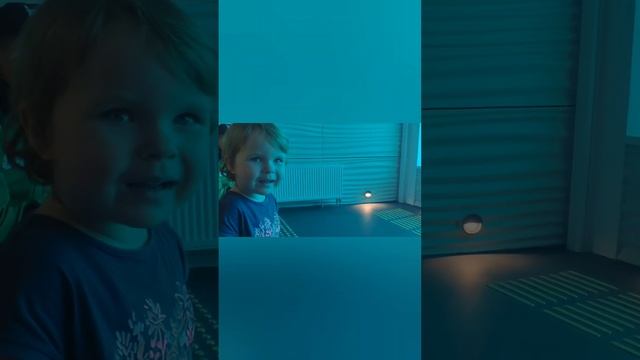Ластоногие хищники (первый контакт) смотреть онлайн