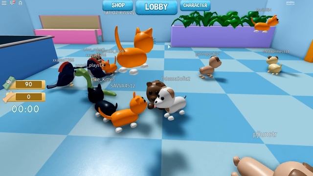 ? ПОБЕГ ПИТОМЦЕВ 2 в РОБЛОКС ПРЯТКИ Pet ? Escape 2 ROBLOX КИРЮХА и КОТЁНОК ЛАЙК смотреть онлайн