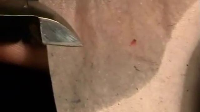 Проверка заточки маникюрных кусачек