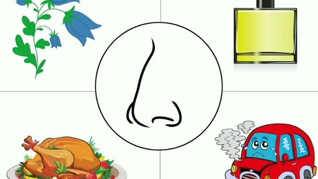 7 Органы чувств смотреть онлайн