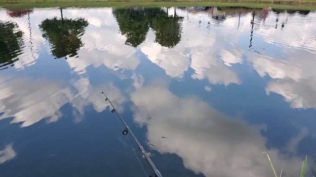 Bass and Bluegill Fishing Using Minnows, Berkley Gulp Minnows, and Powerbait Minnows on a Float смотреть онлайн