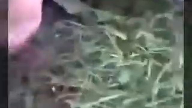 Избиение смотреть онлайн