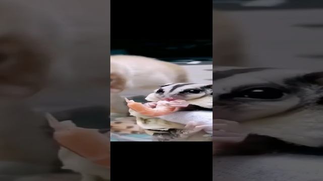 🥰🤣💯 смотреть онлайн