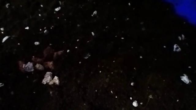 Грунт для Суккулентов! смотреть онлайн