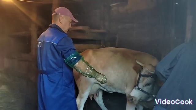 Дима получил сертификат. Подписчики поправили память. Курский выходной. Вызов. смотреть онлайн