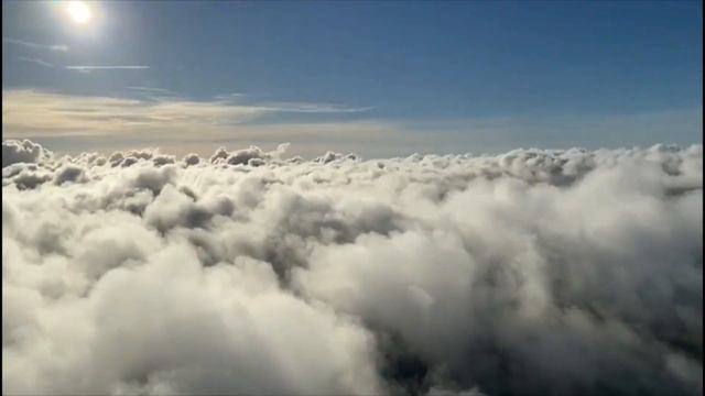 Palm Bay Fly In 4 2020 смотреть онлайн