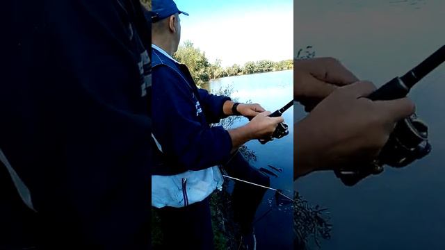 Ловля карпа в Григоровке смотреть онлайн