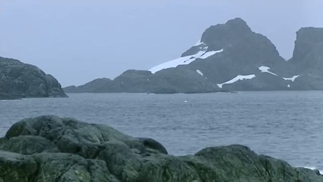 The Sea Leopard's Deadly Hunt in the Antarctic Ocean смотреть онлайн