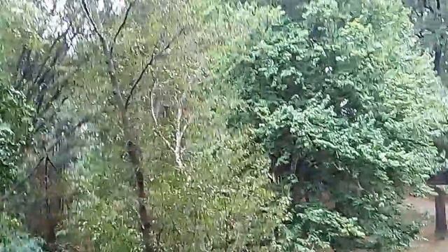 Умань, Софиевка, Софиевский парк смотреть онлайн