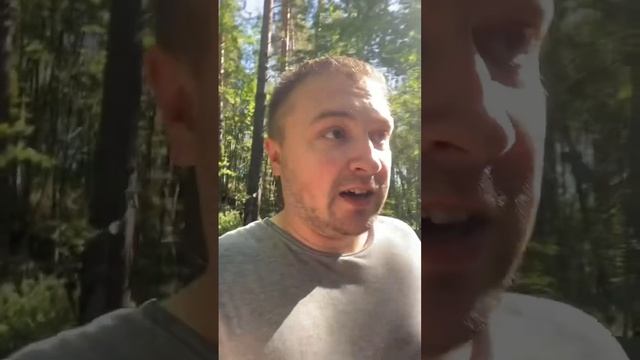 Как мы собирали Лисички в лесу 2 часть! смотреть онлайн