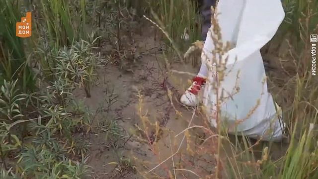 Мы приехали на речку воскресенье провести только чистого местечка возле речки не найт