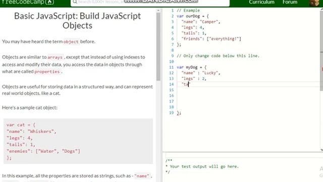 Basic JavaScript Build JavaScript Objects free code camp Dani смотреть онлайн