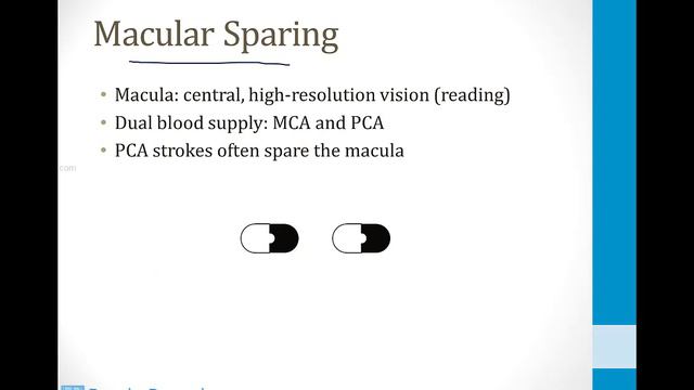 Neurology - 3. Neurovascular Disorders - 1.Cerebral And Lacunar Strokes Atf