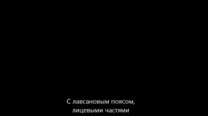 Противогаз шланговый ПШ 20ЭРВ