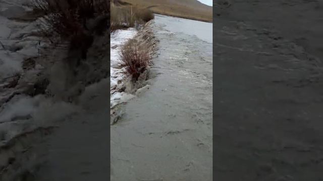 Горный Зерентуй смотреть онлайн