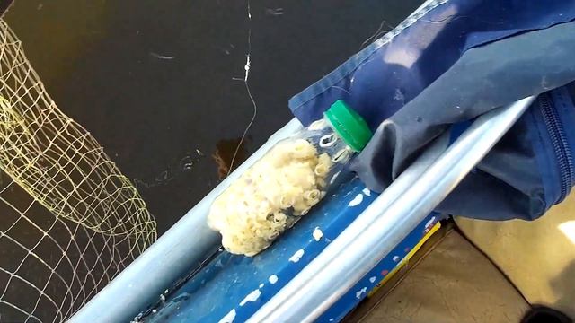 Ловля леща в июне. Ловля леща с лодки. смотреть онлайн