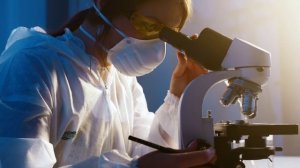 Бадан польза и вред