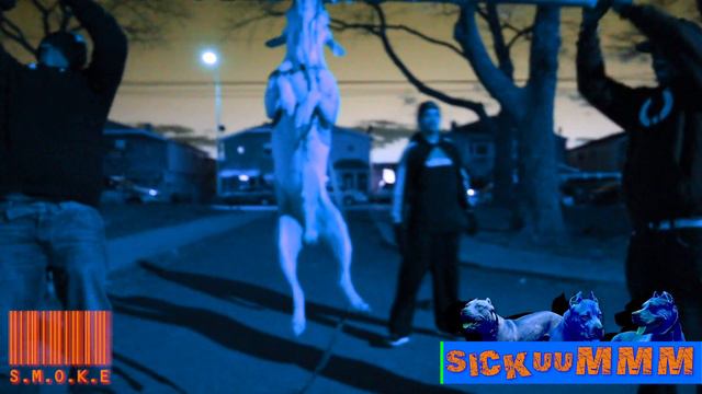 Vicious Pit Bull Lock Jaw Test смотреть онлайн