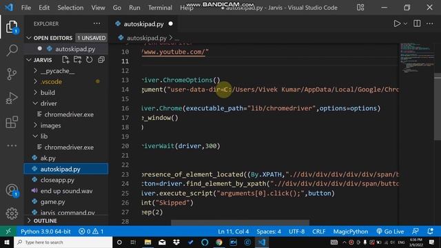 YouTube Skip Ad Automation Using Python смотреть онлайн