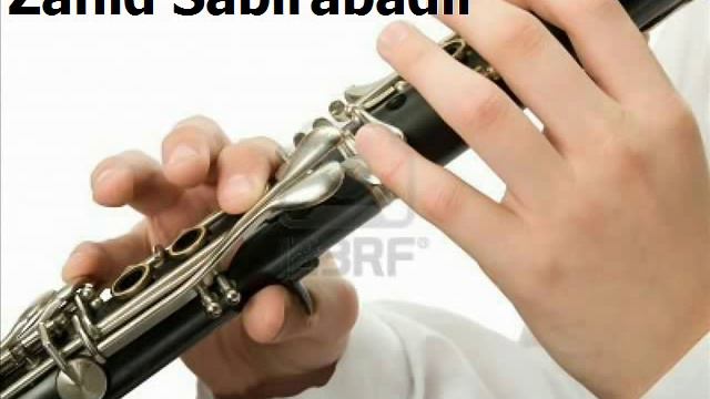 Azeri Klarnet Zahid Sabirabadli.Turk mahnisi. Soylimmi смотреть онлайн