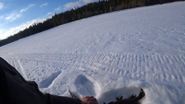 Весенняя рыбалка на щуку на закидушки в Карелии #рыбалка2022