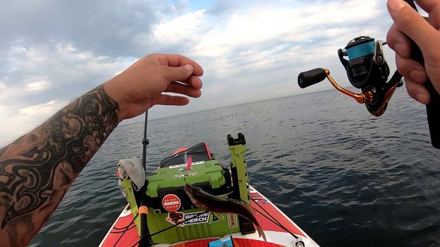 Рокфишинг в Анапе.Vol 1. Рыбалка в море с сапборда.