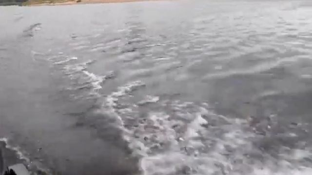 Малютка 2 и Sea Pro TS3 смотреть онлайн