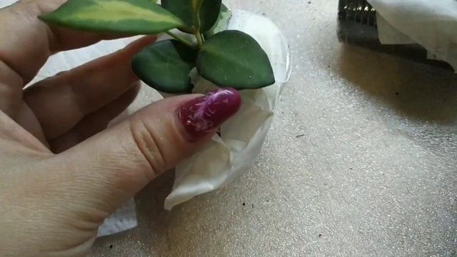 #Хойи обзор посылочки. смотреть онлайн