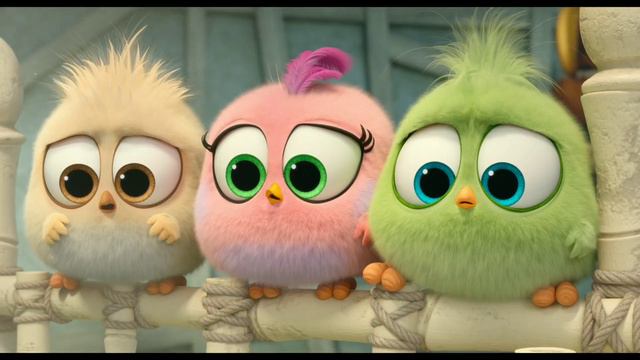 The Angry Birds Movie 2 | Animation Movie |snake Scene | Animation Clips And Paste |