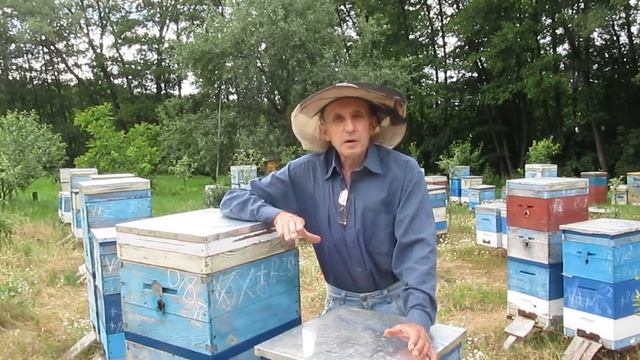Коллапс пчел в Украине, - диверсия конкурентов, или тупость фермеров? 13. 06.2018 г. смотреть онлайн