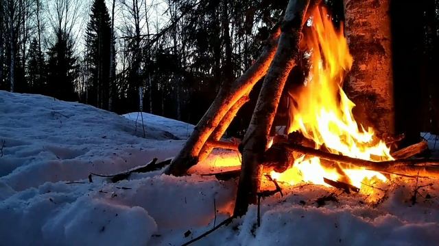 Охота на глухаря НА ТОКУ 2021!! ЭХХ НЕ БЫ ГЛУХАРКА!!!! смотреть онлайн