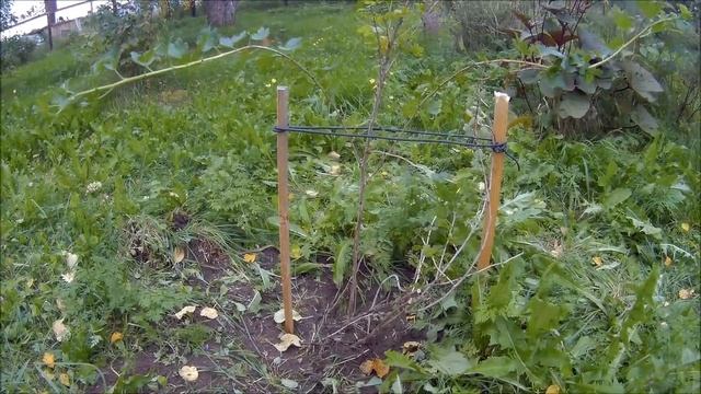 Приехал подписчик - привёз сокровища!//Жить в деревне . смотреть онлайн