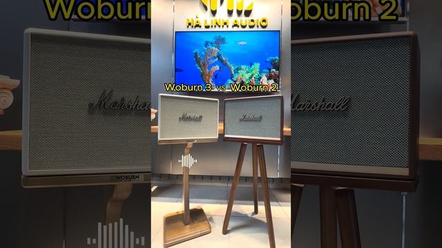 So sánh chất âm thực tế của Marshall Woburn 3 và Marshall Woburn 2 #shortvideo #shortvideo смотреть онлайн
