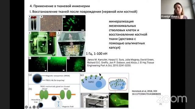 20/04/2022 Власова К.Ю. Веселов М.М. Применение магнитных наночастиц в биохимии и биотехнологии смотреть онлайн