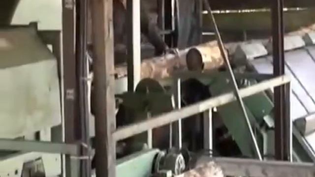 Линия переработки тонкомера смотреть онлайн