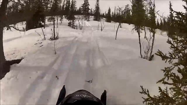 Erik På M1000 Arctic Cat