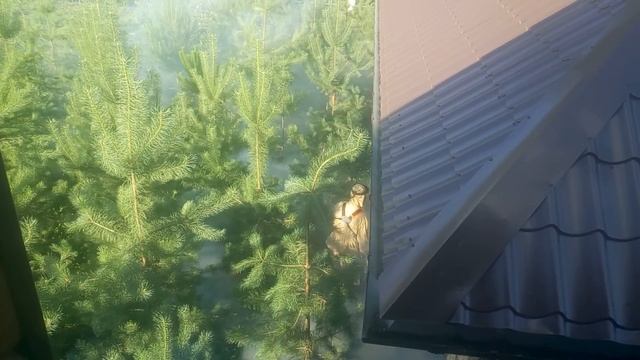 Уничтожение клещей и комаров на вашем участке! смотреть онлайн