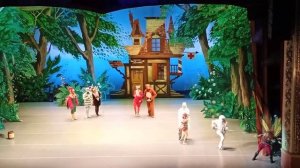 Балет Айболит.