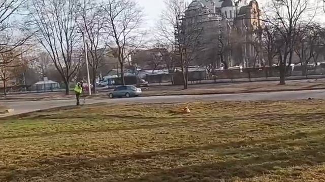 Харьков Салтовка 23 марта 2023 Добрый день! смотреть онлайн