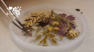 Сухоцветы в смоле / Украшение из эпоксидной смолы / DIY Пташечка