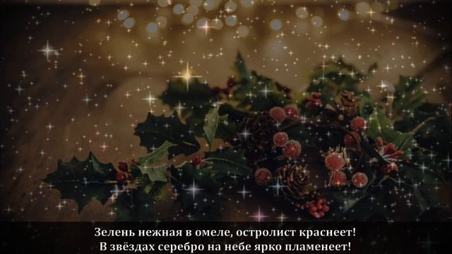 Поздравление с Рождеством 2021 от Елены Миринель смотреть онлайн
