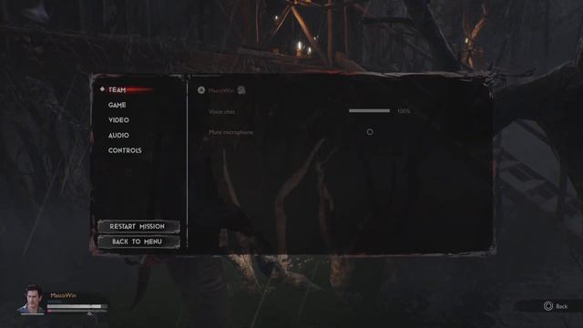 Evil Dead: The Game - Air Juggle Finisher ????♂️ смотреть онлайн