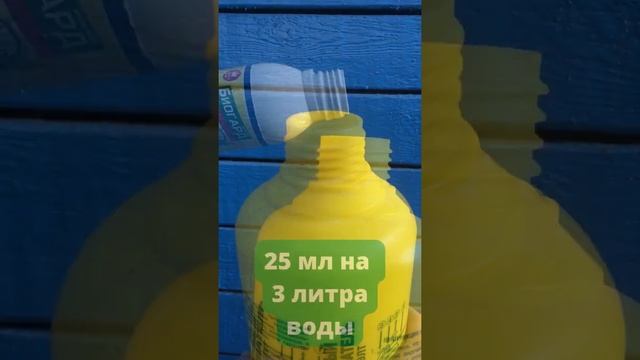 Чем полить землю чтобы не росла трава? #Shorts смотреть онлайн